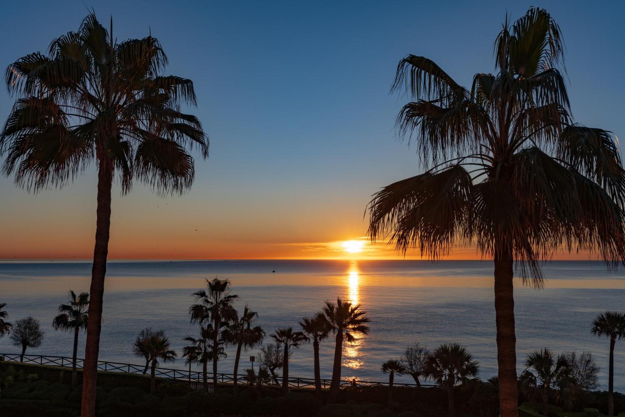 Elba Estepona Gran Hotel & Thalasso Spa Dış mekan fotoğraf